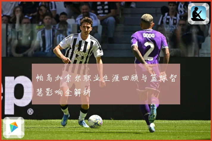 帕乌加索尔职业生涯回顾与篮球智慧影响全解析